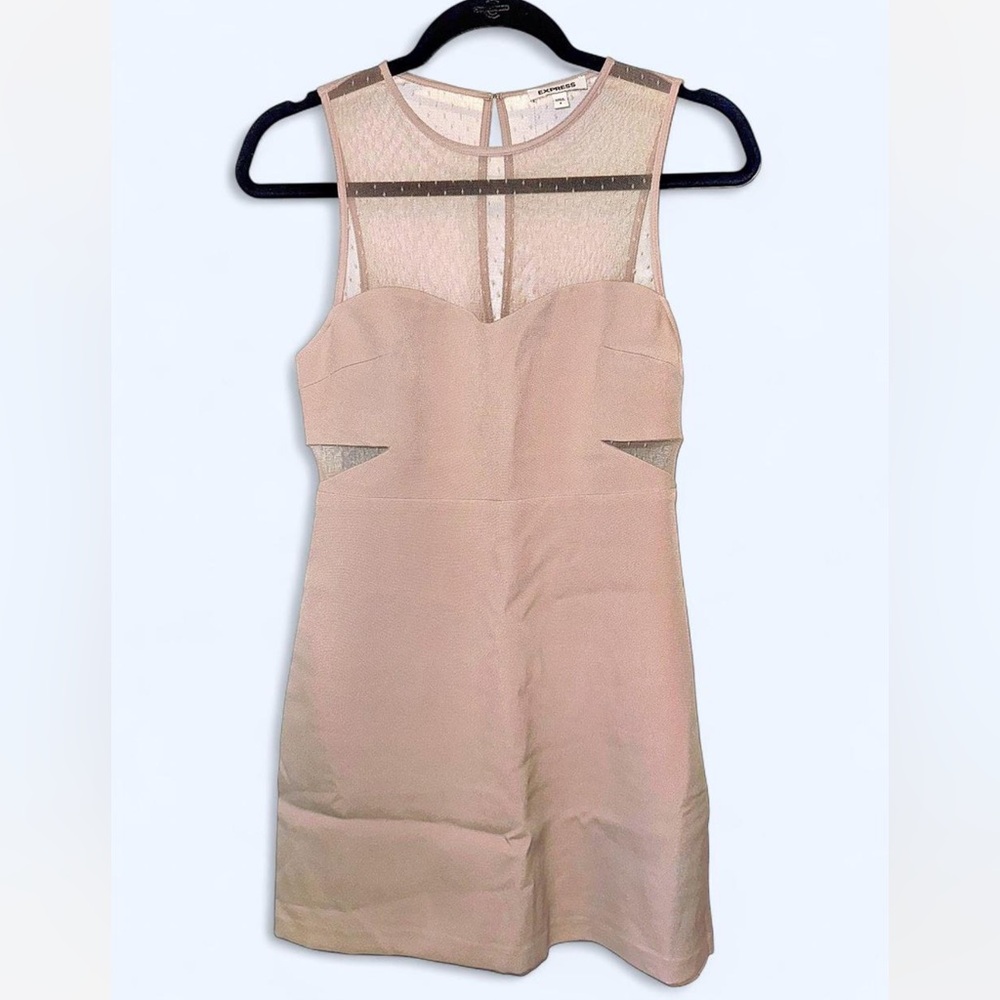 EXPRESS peach champagne mesh cut out body-con dress